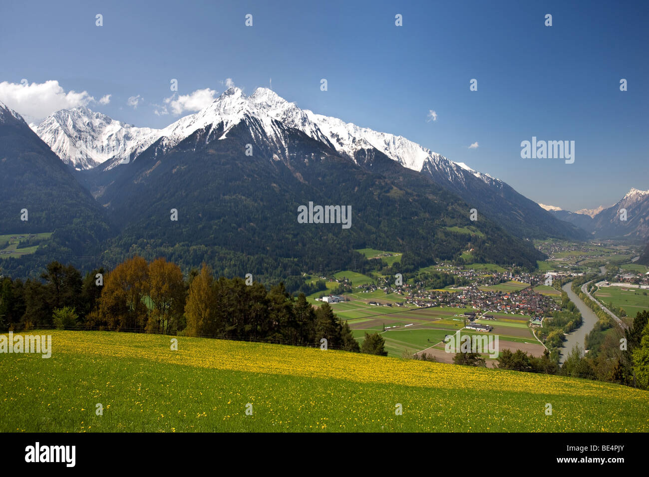 Blick auf das Inntal, Pfaffenhofen, Hocheder in den Stubaier Alpen, Löwenzahn Wiese, Oberinntal Oberinntal, Tirol, Aus Stockfoto