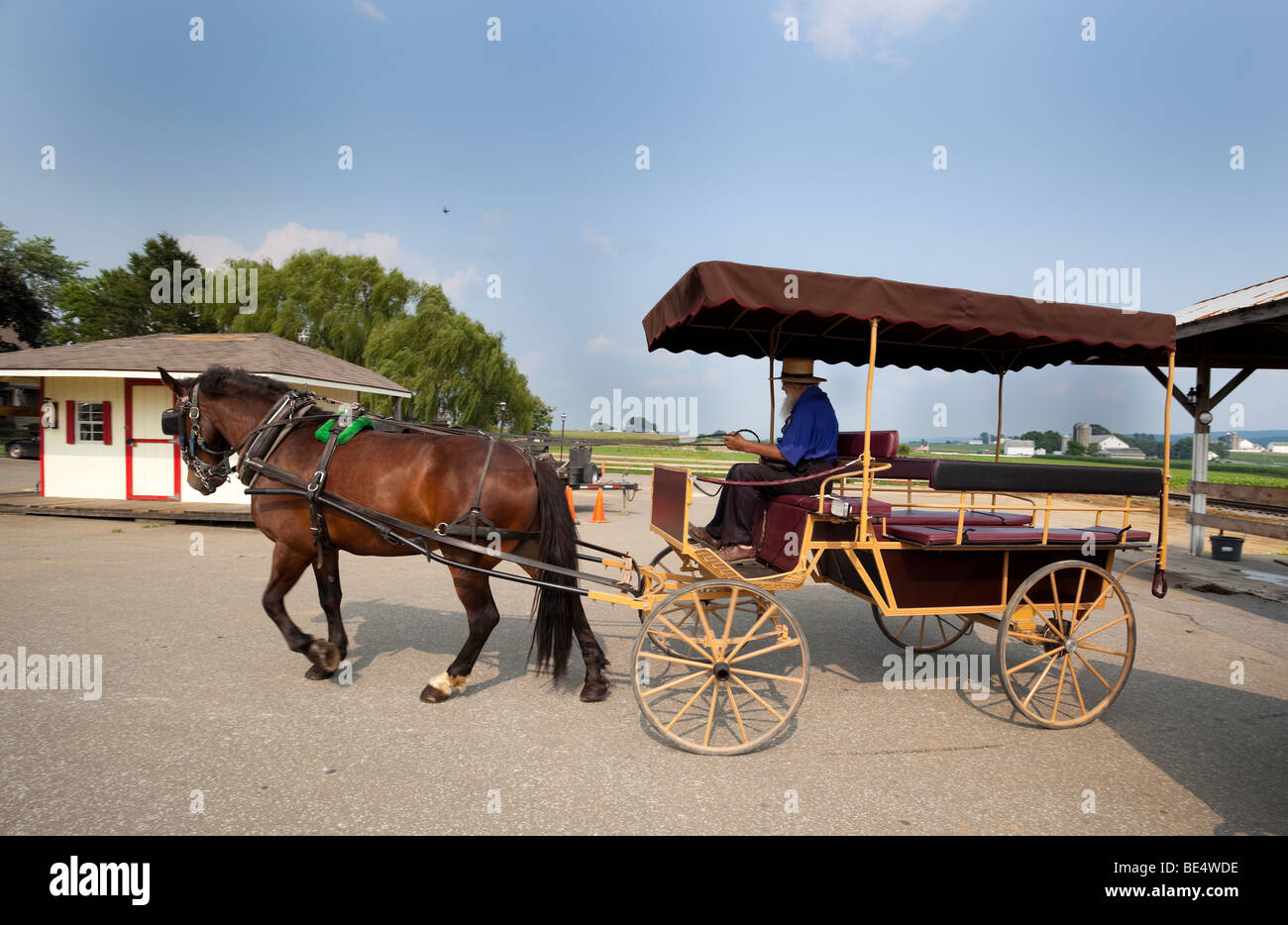 Amische Buggy, Pennsylvania Dutch Country, PA, USA Stockfoto