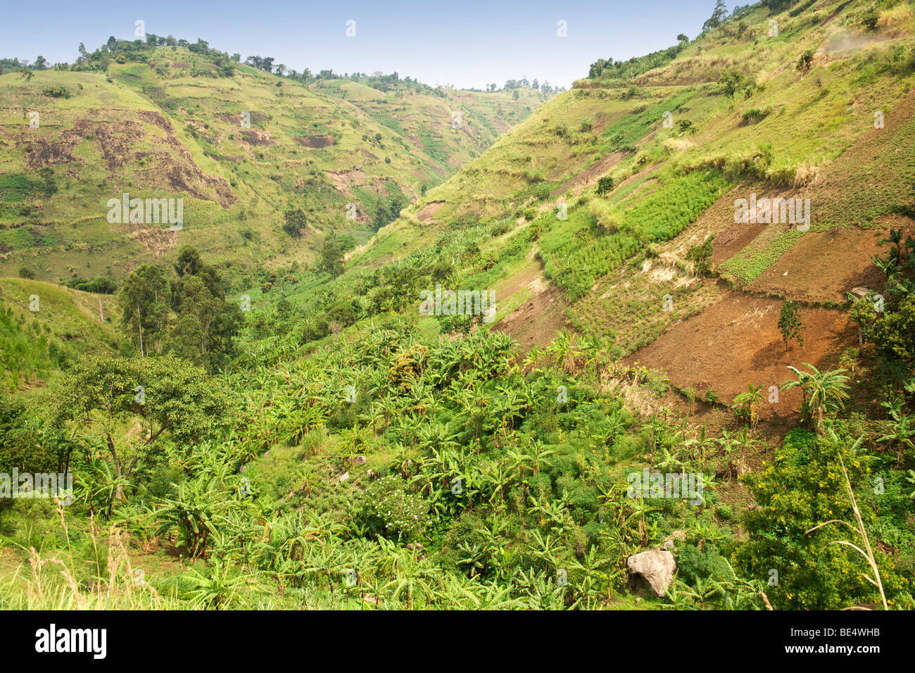 Landschaft entlang der Straße zum Semliki National Park im Westen Ugandas. Stockfoto