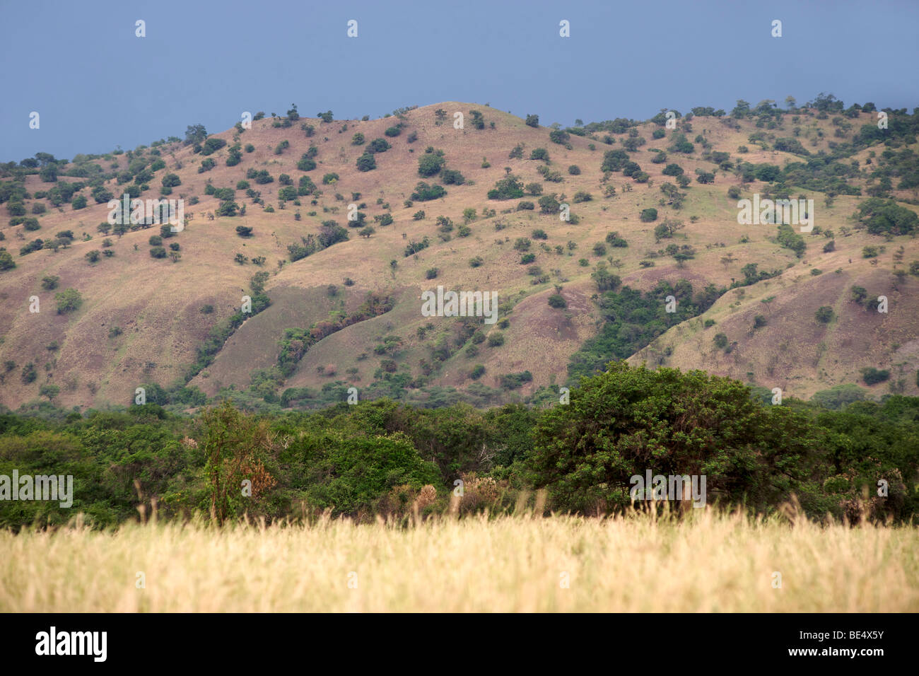 Blick auf die Landschaft und die Hügel in der Kabwoya Wildlife Reserve im Westen Ugandas. Stockfoto