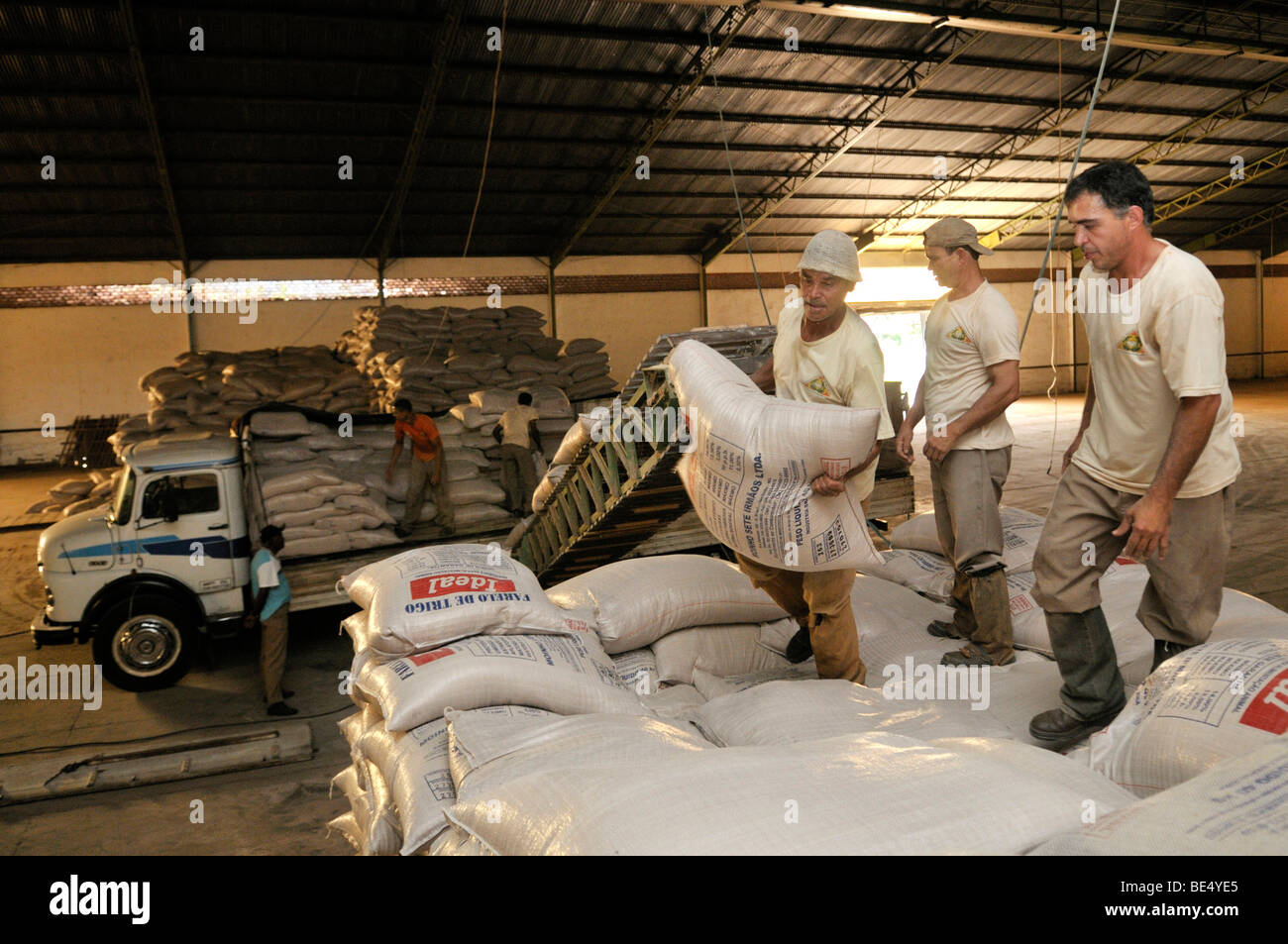 Entladung Säcke Getreide in einem Lagerhaus Uberlandia, Minas Gerais, Brasilien, Südamerika Stockfoto