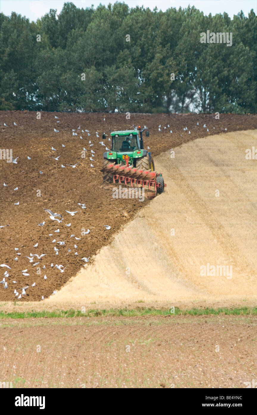 Traktor Pflügen eine Feld Suffolk UK Stockfoto