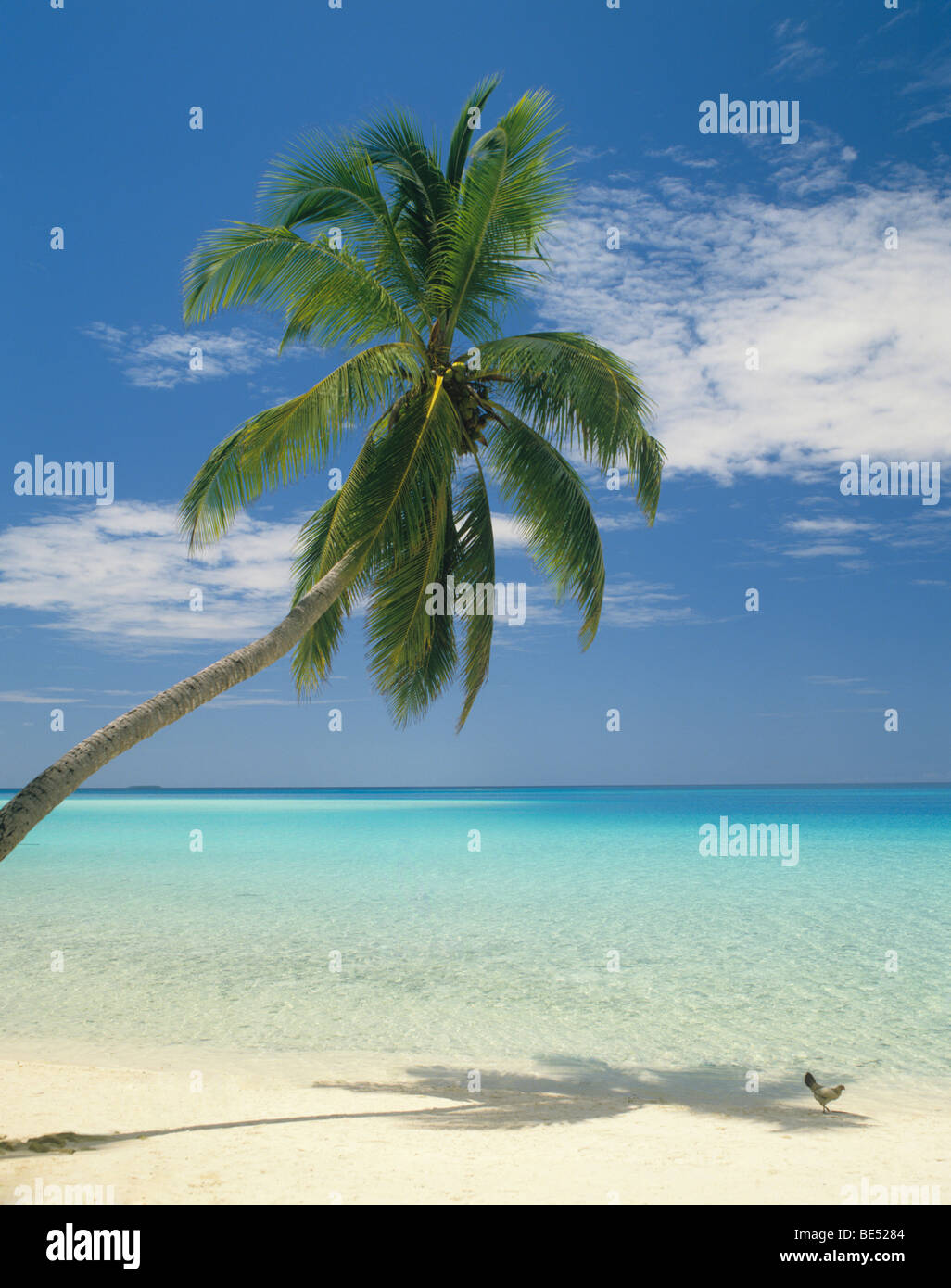 Republik der Malediven, Vaavu Atoll, tropische Idylle auf Fulidho Insel Stockfoto