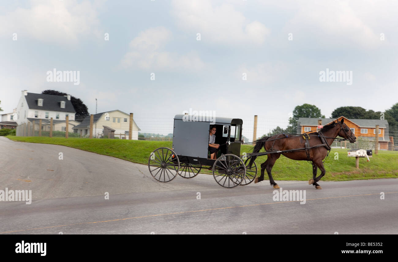 Amish Frau ein Pferd reiten gezeichnet Buggy, Pennsylvania Dutch Country, USA. Stockfoto