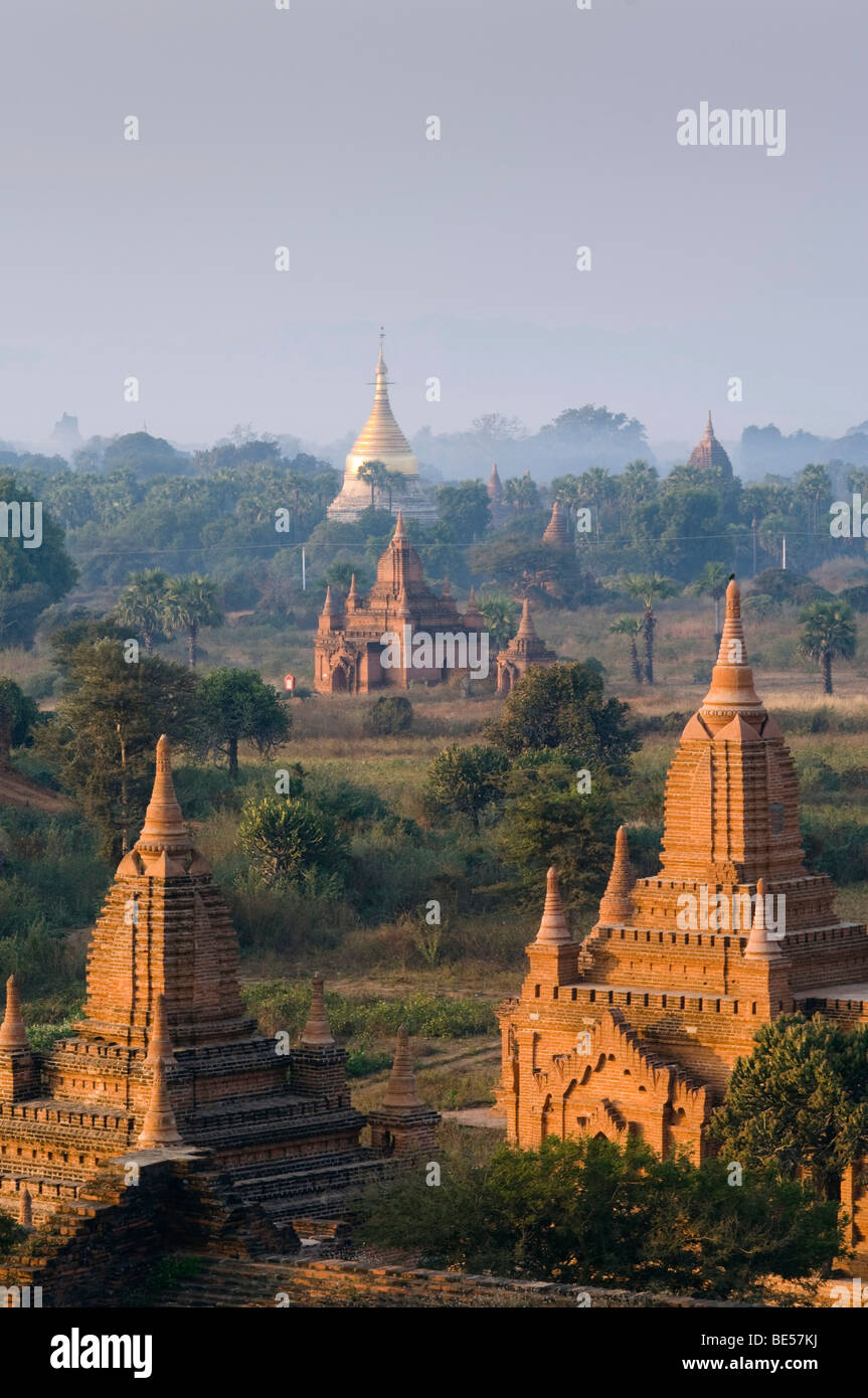 Pagode-Feld, Tempel, Zedi, Old Bagan, Pagan, Burma, Myanmar, Asien Stockfoto