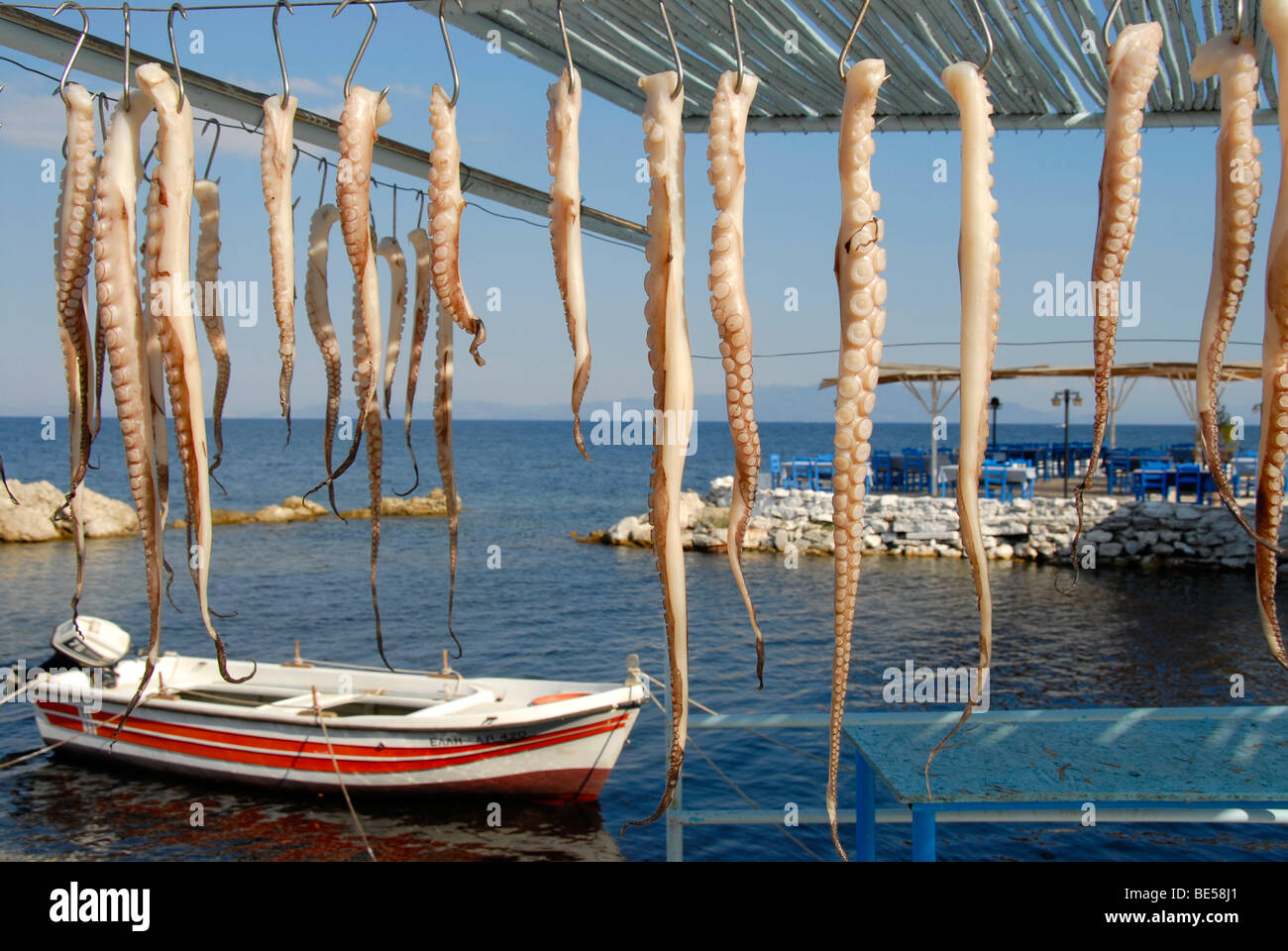 Tintenfisch oder Oktopus (Krake) Tentakel hängen trocken, motor Boot an der Küste, Agios Ioannis in der Nähe von Mytilene, Lesbos Insel, Aegea Stockfoto