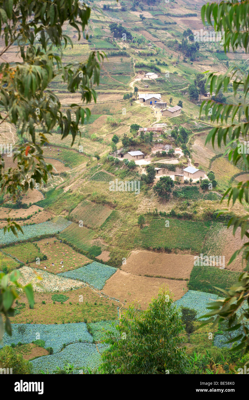 Landschaft entlang der Straße zwischen Kisoro und Muko in Süd-Uganda. Stockfoto