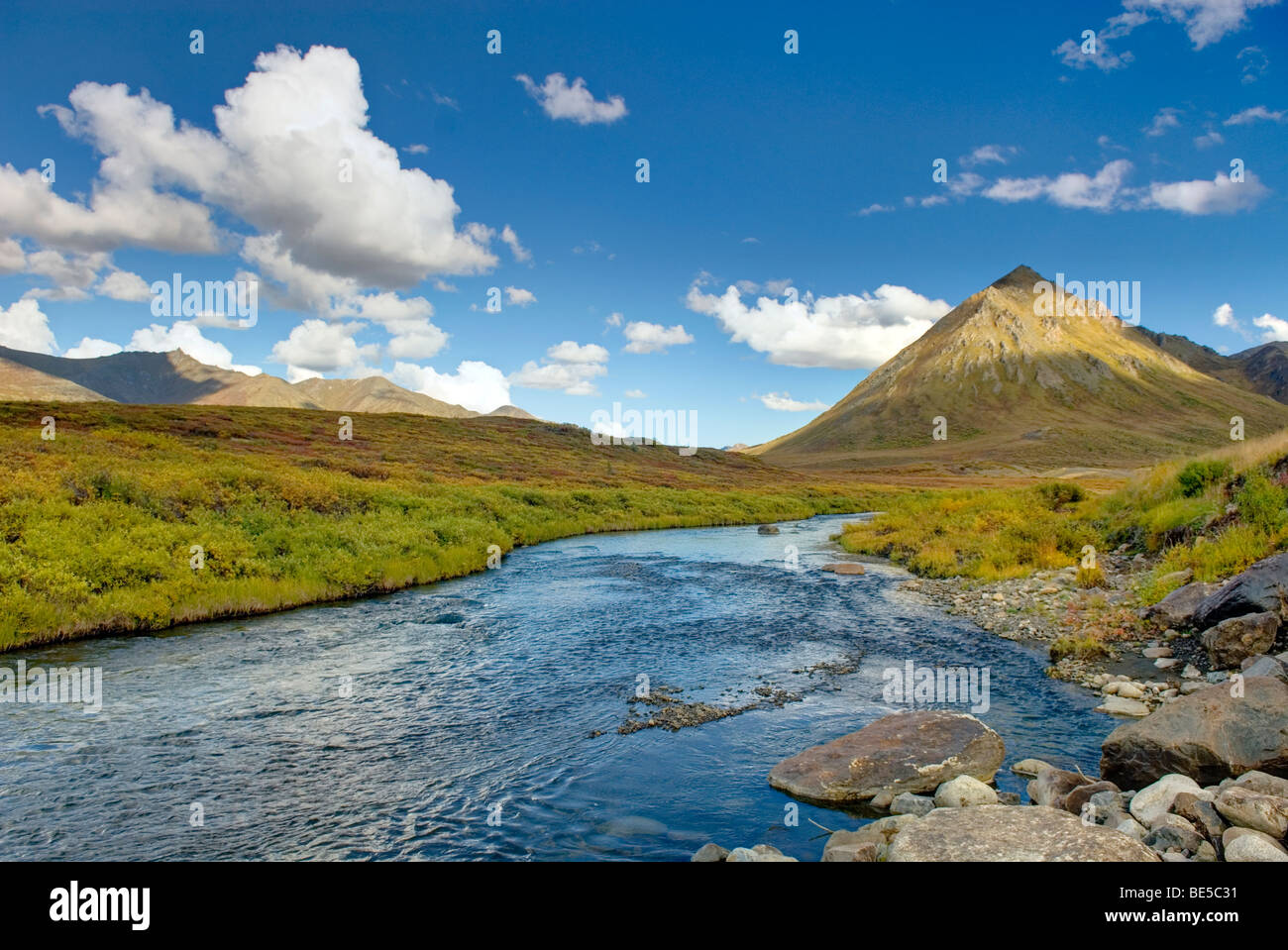 Blackstone River Tombstone Territorial Park Yukon Kanada Stockfoto