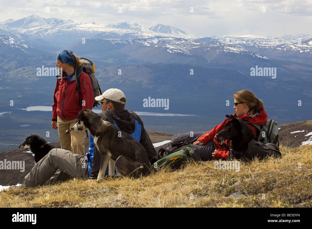 Gruppe von Wanderern und Hunde ruhen, genießen das Panorama, Mt. Lorne, Pacific Coast Ranges hinter Yukon Territorium, Kanada, Nord Stockfoto
