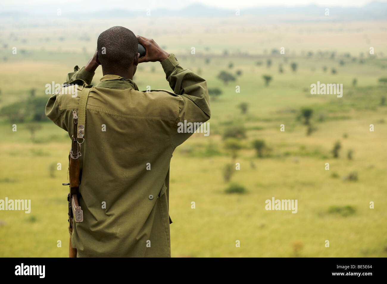 Ein bewaffneter, Uganda Wildlife Authority Wildhüter Blick durch ein Fernglas im Kidepo Valley Nationalpark in Nord-Uganda. Stockfoto