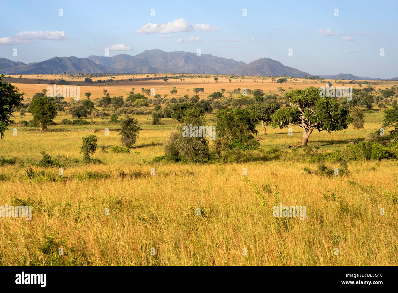 Blick über den Ebenen von Kidepo Valley Nationalpark im Norden Ugandas. Stockfoto Blick über den Ebenen von Kidepo Valley Nationalpark im Norden Ugandas. Stockfoto