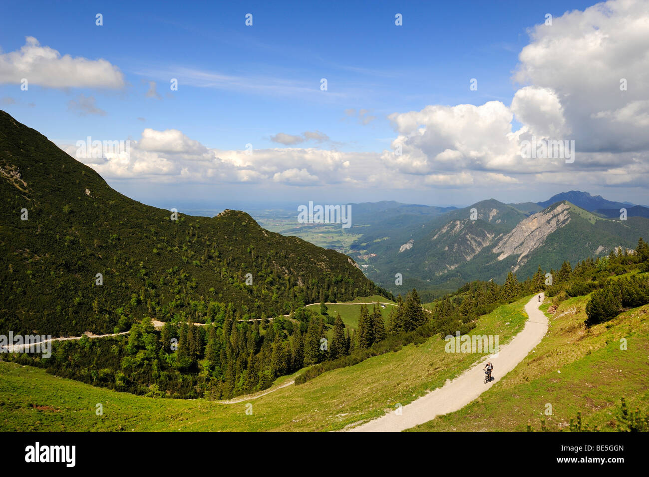 Trail auf den Herzogstand Berg, Landkreis Bad Tölz-Wolfratshausen, Bayern, Deutschland, Europa Stockfoto