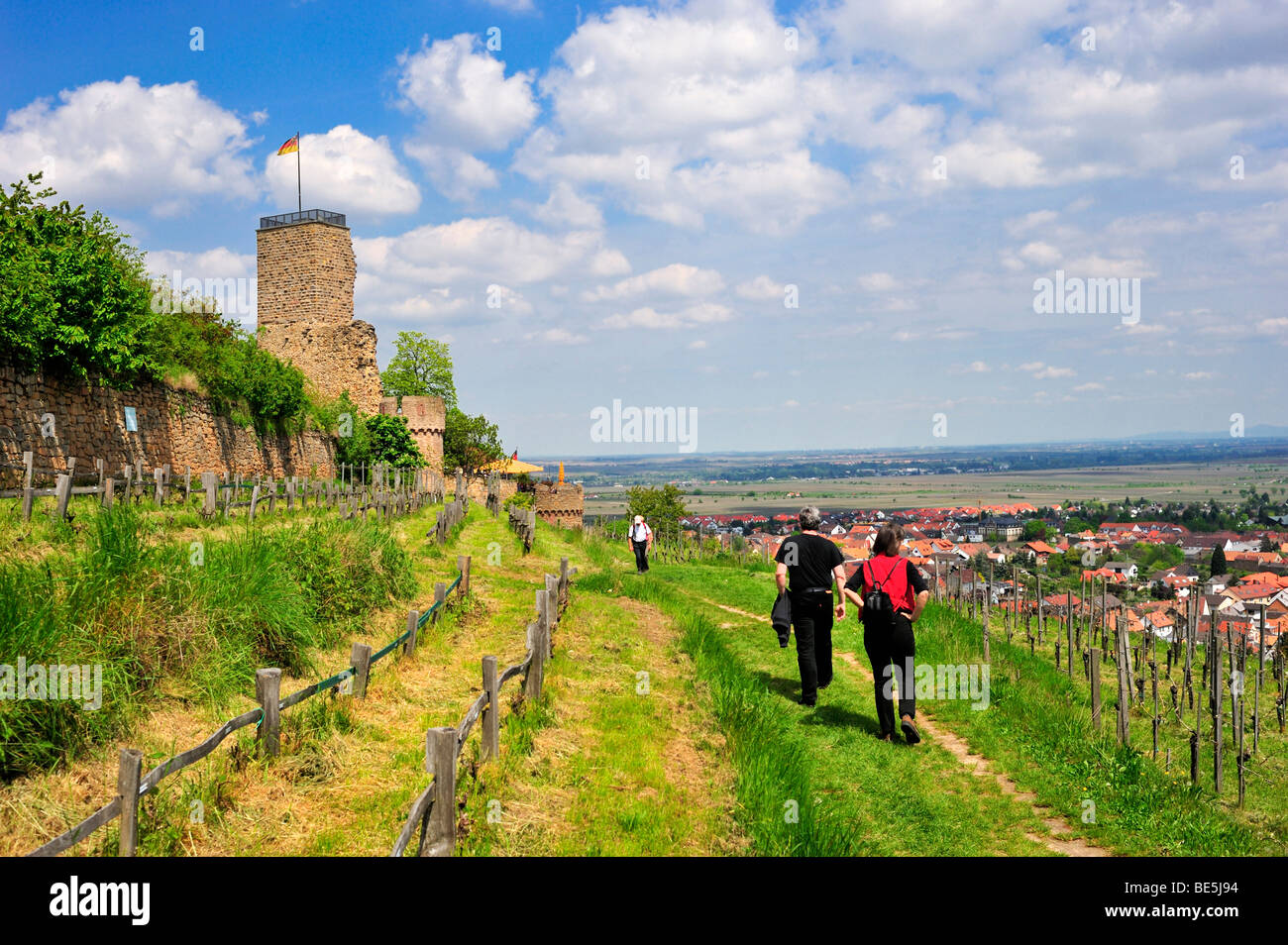 Burg wachenheim Fotos und Bildmaterial in hoher Auflösung Alamy