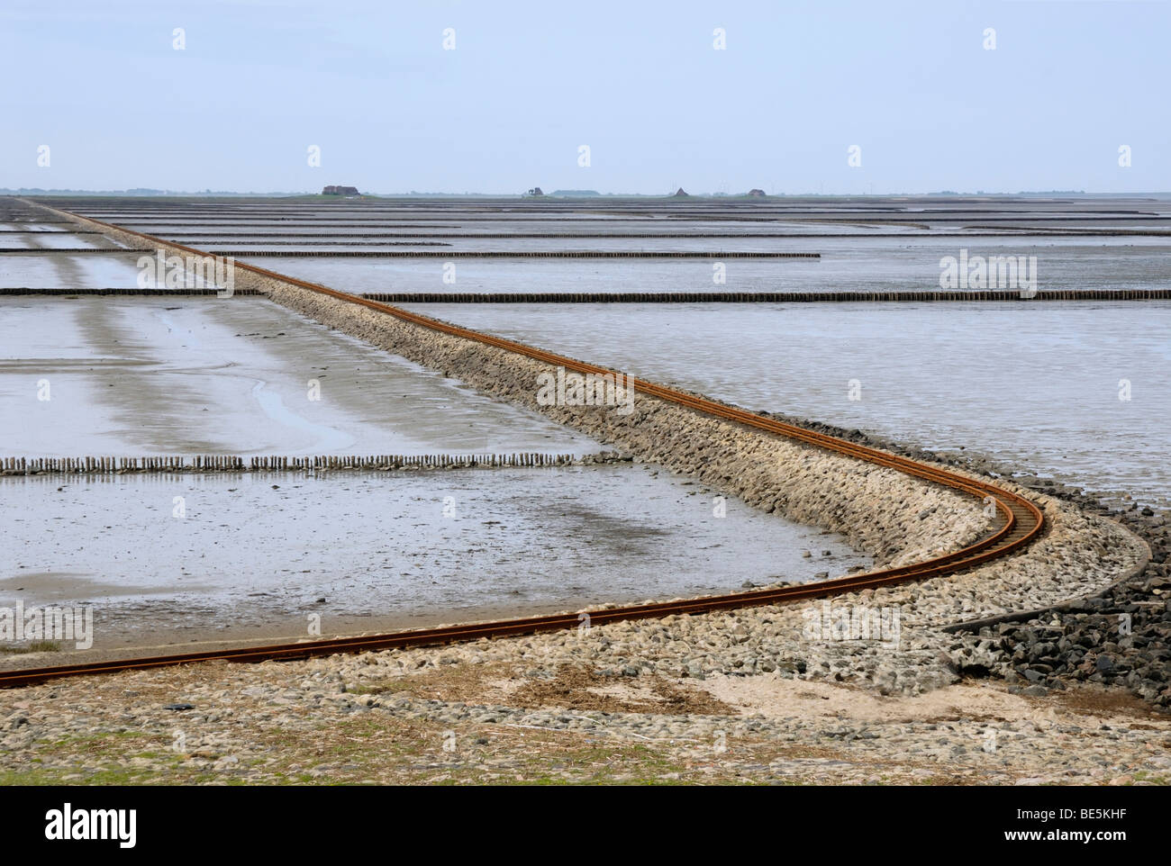 Blick über das Wattenmeer bei Ebbe, die Buhne und der Lorendamm Damm führt zu Hallig Nordstrandischmoor, Schleswig-Holstein Wadd Stockfoto