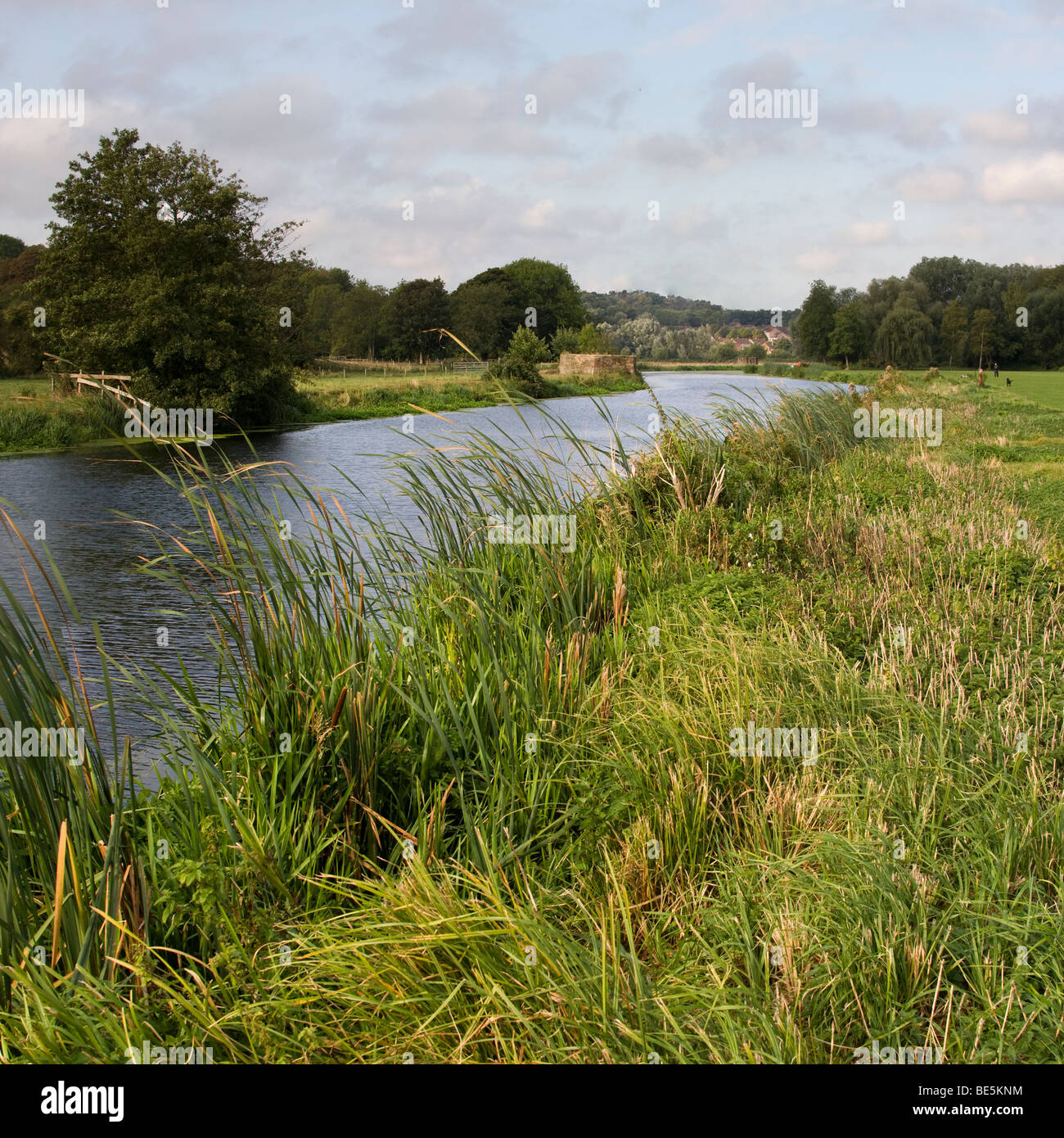 Der Fluss Stour in Suffolk, England Stockfoto