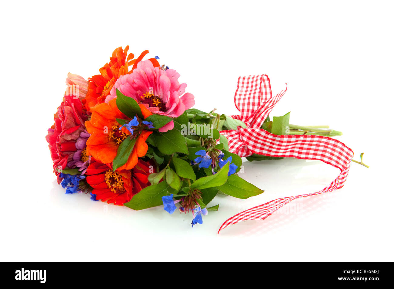 bunter Strauß von Blumen als Geschenk Stockfoto