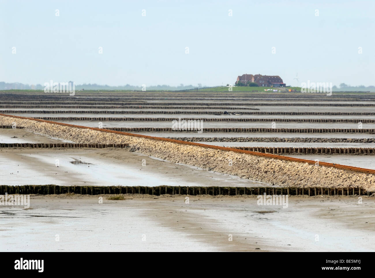 Blick über das Wattenmeer bei Ebbe, die Buhne und der Lorendamm Damm führt zu Hallig Nordstrandischmoor, Schleswig-Holstein Wadd Stockfoto