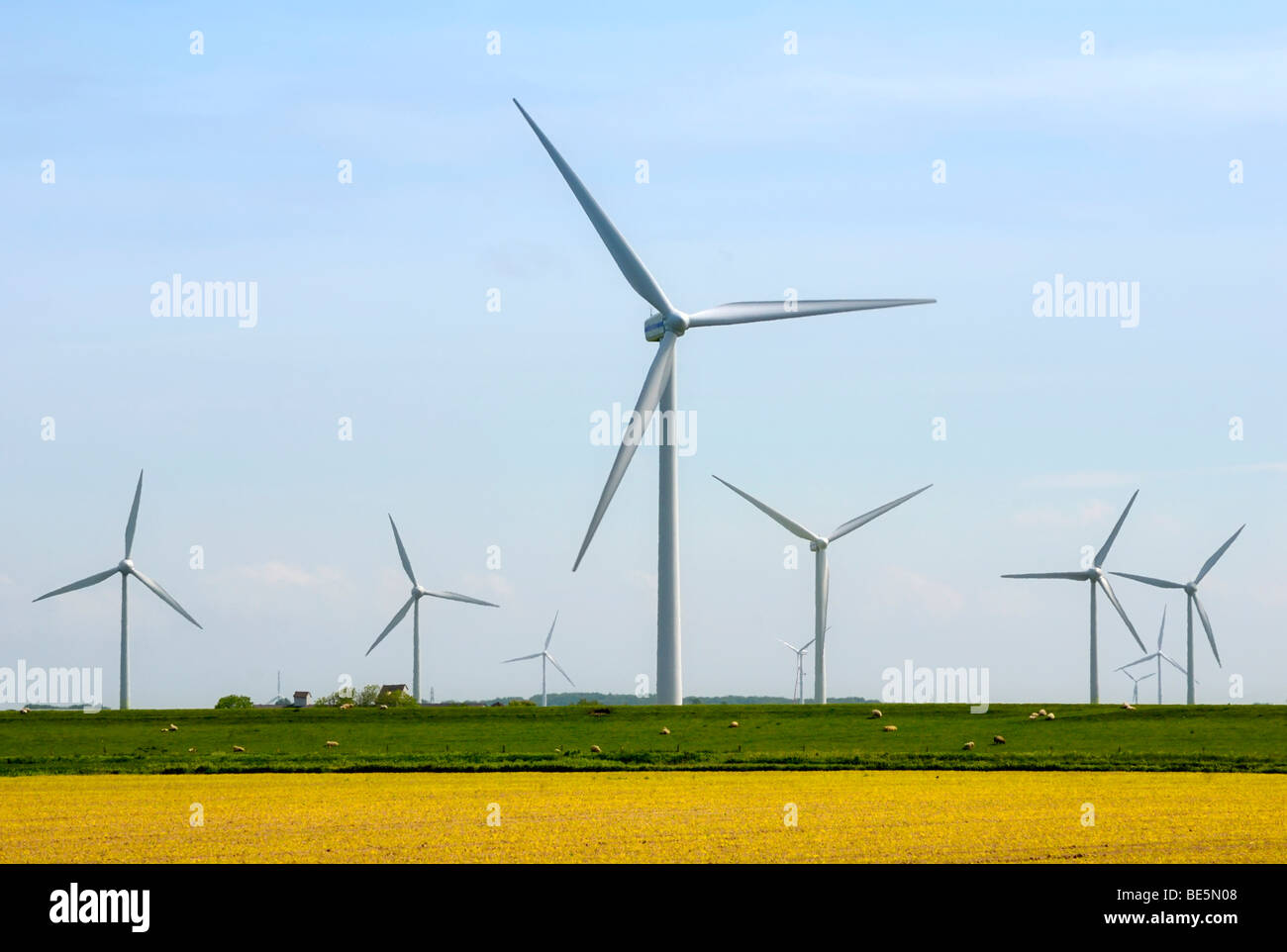 Onshore-windpark, Nordfriesland, Schleswig-Holstein, Deutschland, Europa Stockfoto