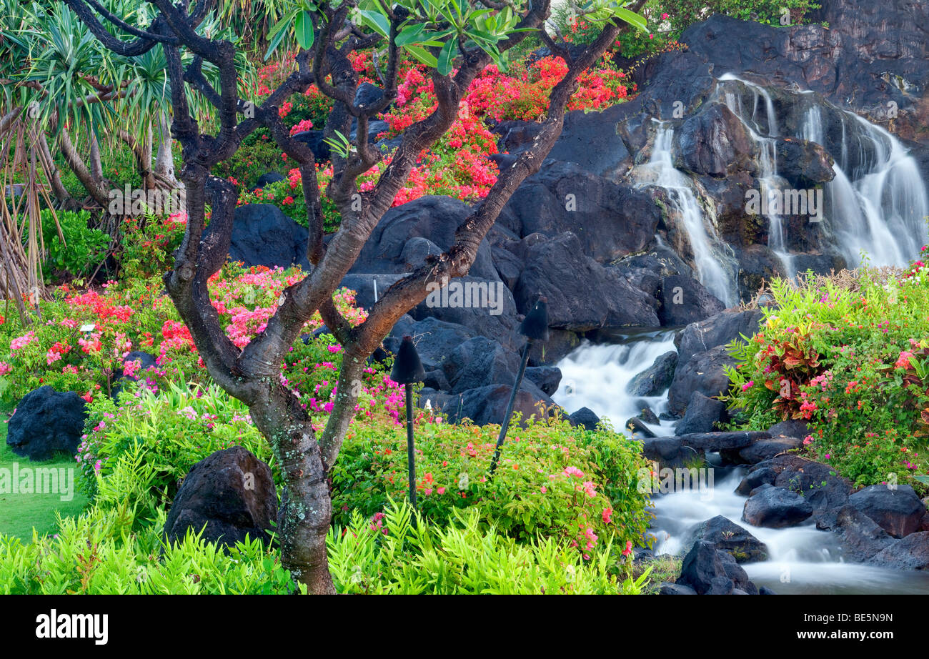 Wasserfälle und Blumengärten im Grand Hyatt Kauai, Hawaii. Stockfoto
