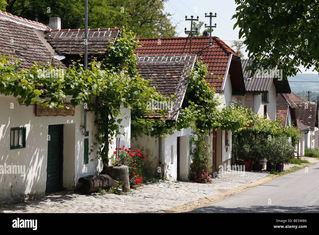 Presshaeuser ehemalige Weinpresse Häuser, Grosse Kellertrift, Kellergasse Lane, Haugsdorf, Weinviertel Region, Niederösterreich, Aust Stockfoto