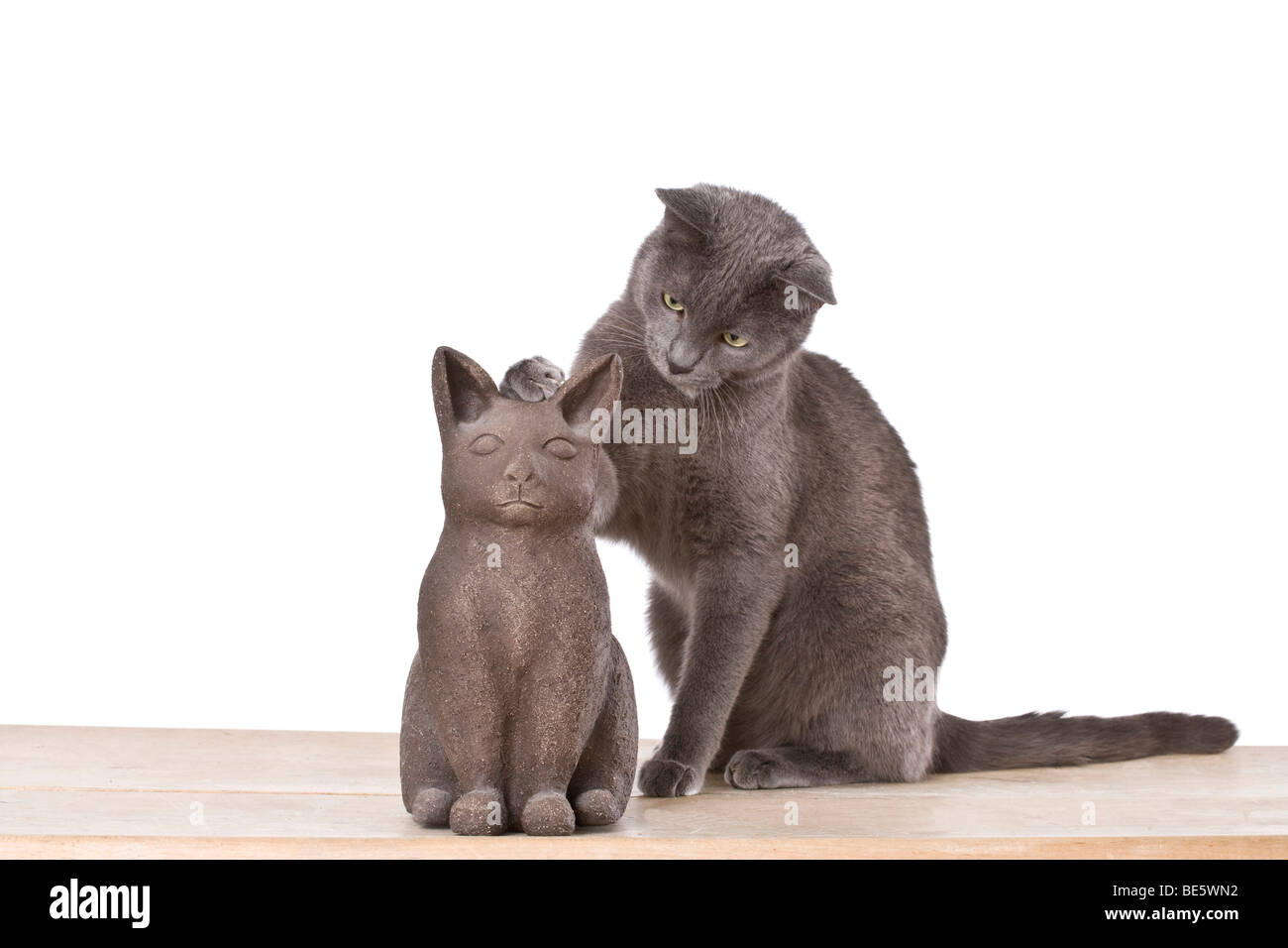 Kater mit Keramik Katze spielen Stockfoto