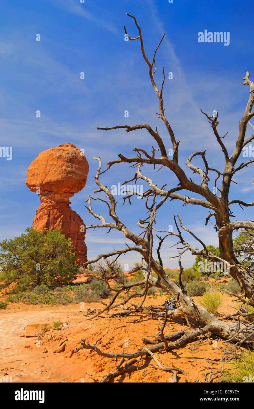 Ausgewogene Rock at The Arches National Park in der Nähe von Moab in Utah, Vereinigte Staaten von Amerika Stockfoto