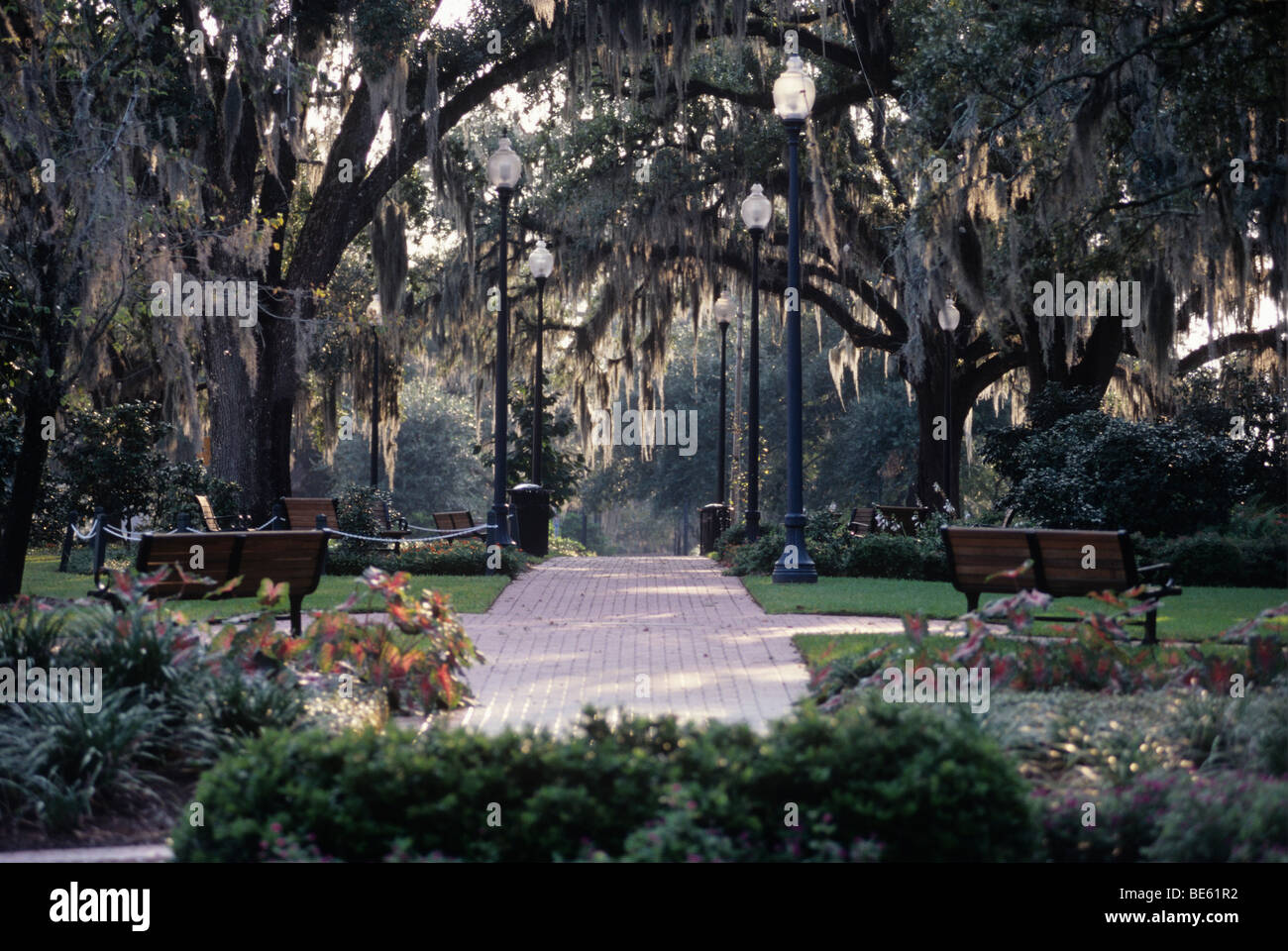 Ein Park an der Park Avenue in Zentral-Tallahassee, Florida Stockfoto