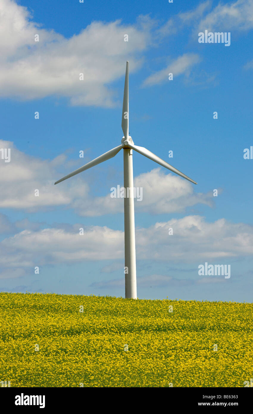 Windturbine erzeugt Strom, Schleswig Holstein, Deutschland, Europa Stockfoto