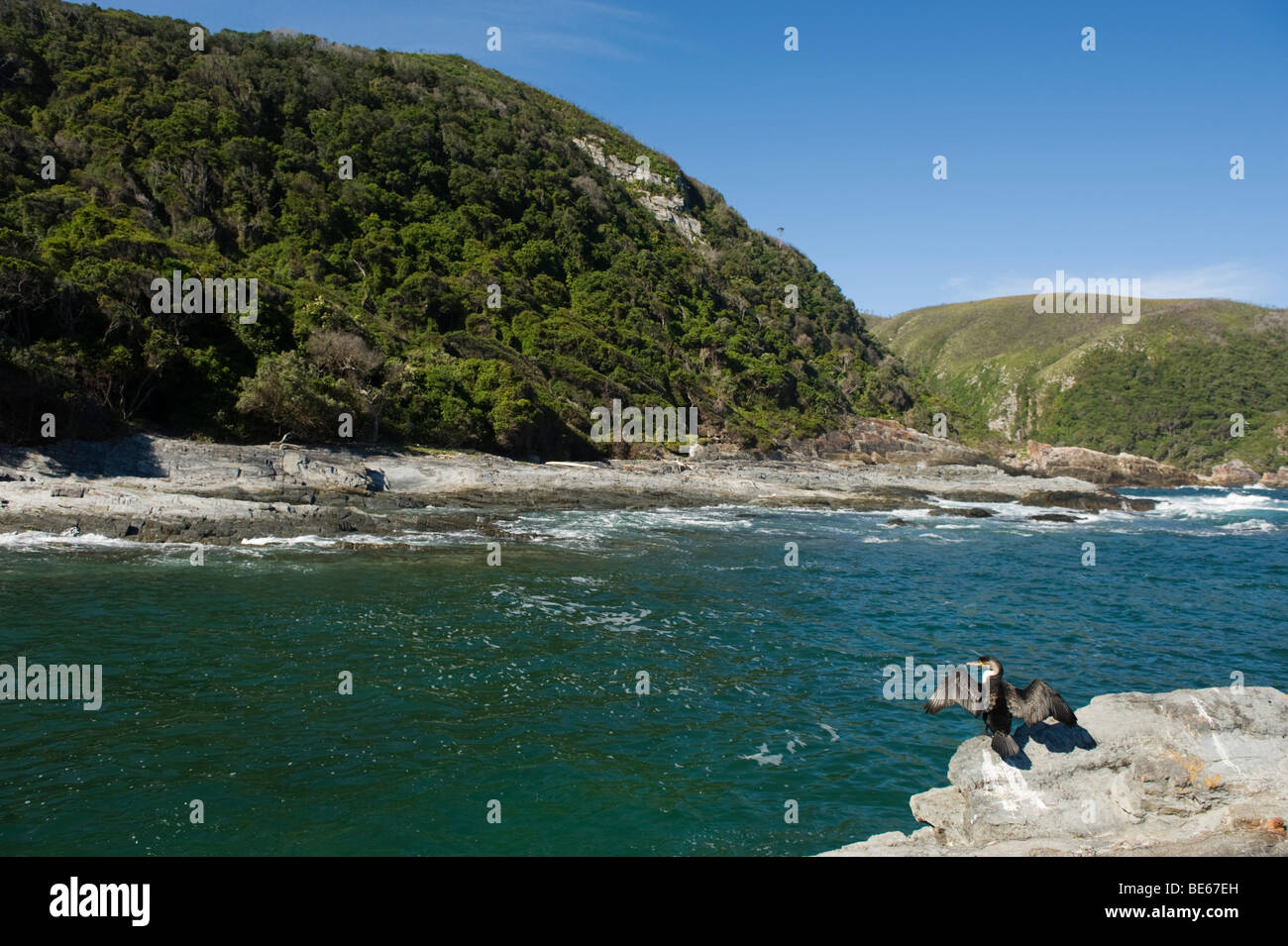 Tsitsikama National Park, Garden Route, Südafrika Stockfoto