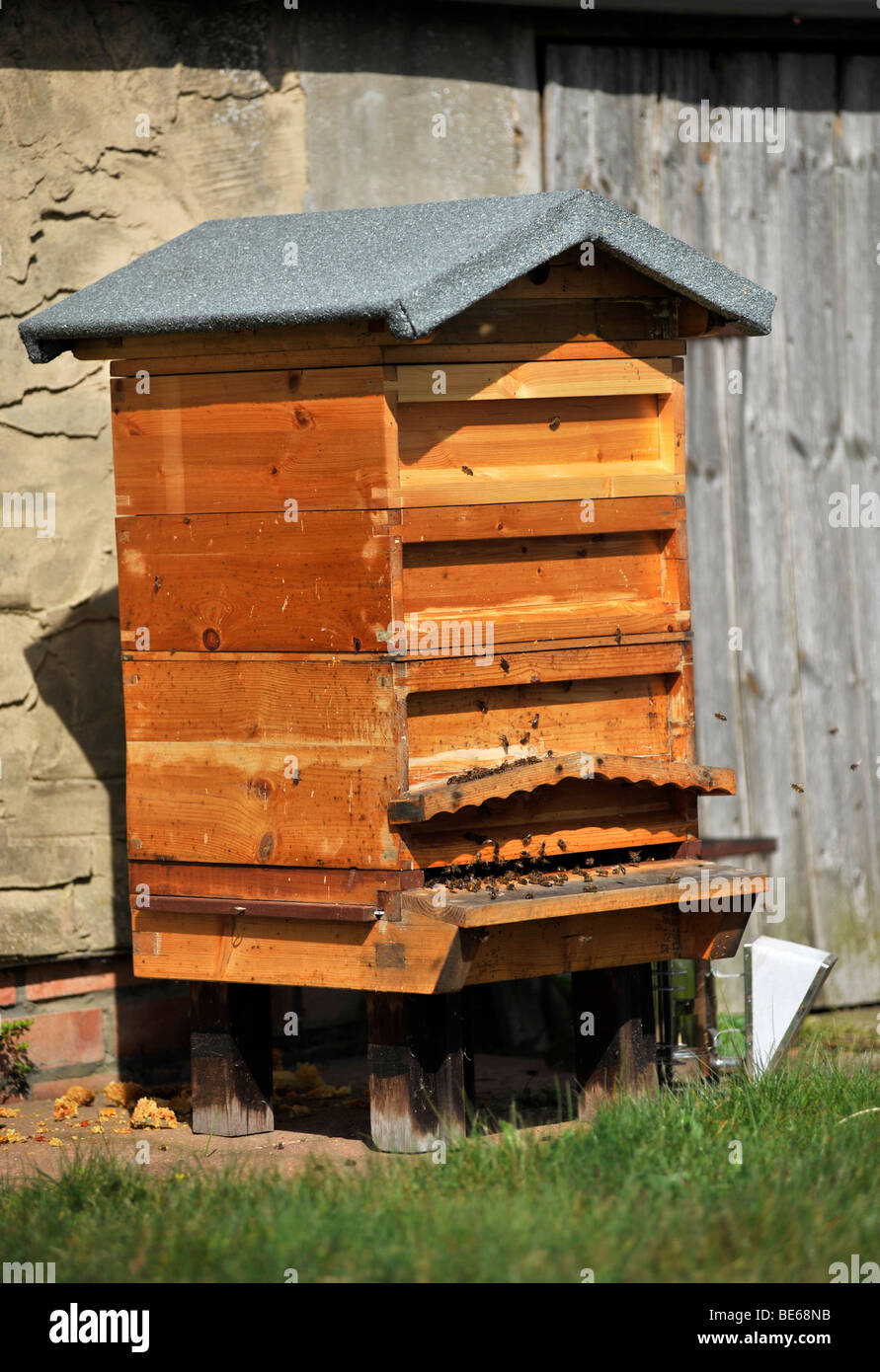 hölzerne national Art traditioneller Bienenstock Stockfoto