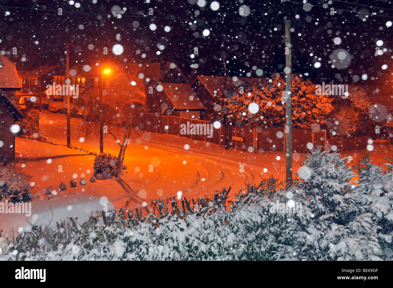 Schneeflocken und Gartenhecke, beleuchtet von orangefarbenem Natriumsalz, Straßenbeleuchtung für schneebedeckte Nachtlandschaft Brentwood Essex England Stockfoto