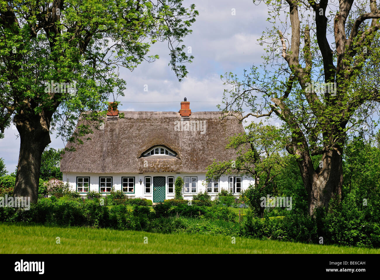 Landhaus mit Reetdach in Schleswig Holstein, Deutschland, Europa