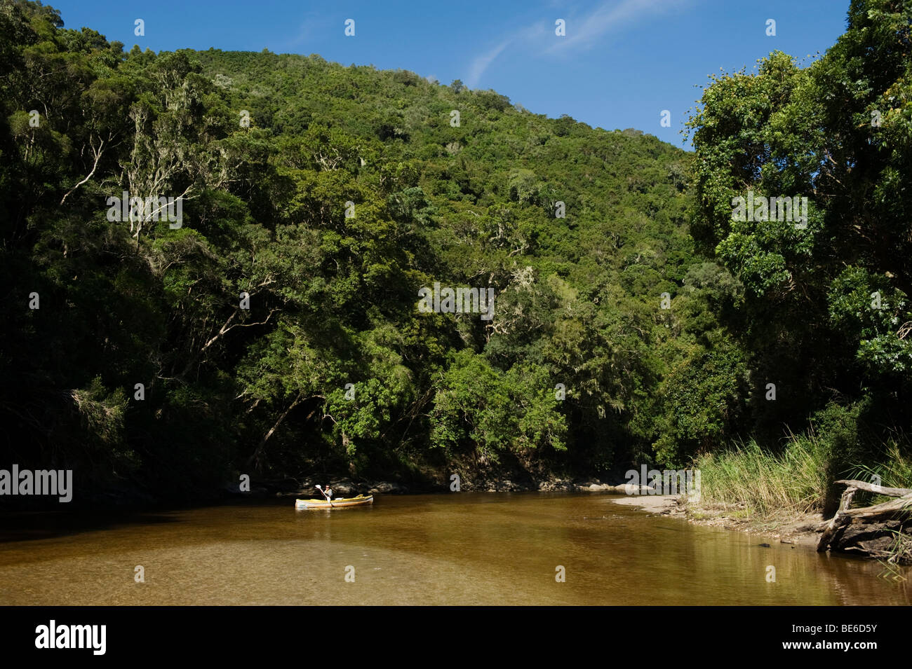Kanu auf dem Fluss Touw, Wilderness National Park, Garden Route, Südafrika Stockfoto