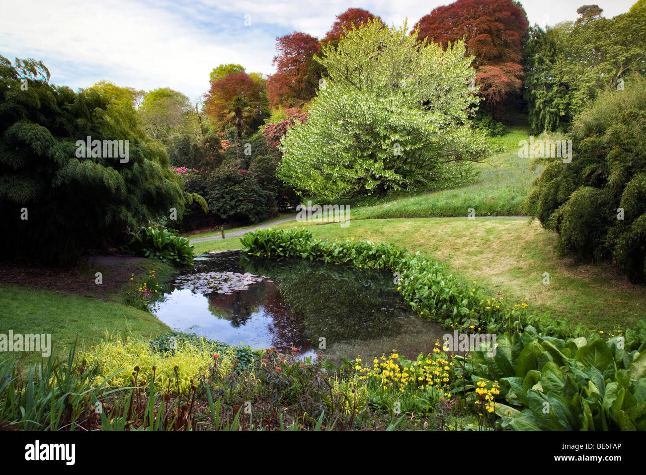 Trebah Gärten; Cornwall; Teich-Funktion Stockfoto