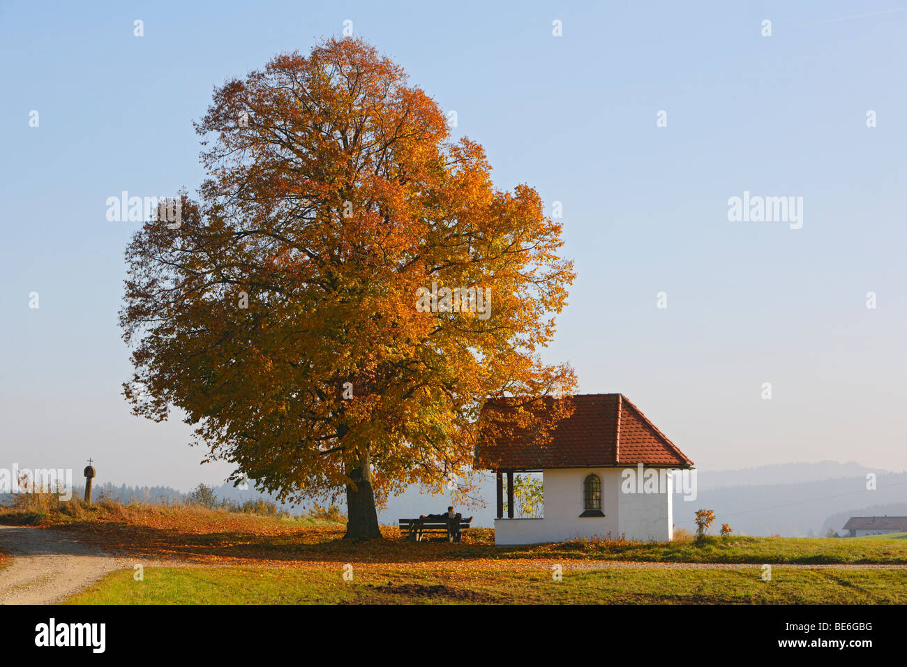 Laubbaum, Herbst, Kapelle, März, Bayern, Deutschland, Europa Stockfoto