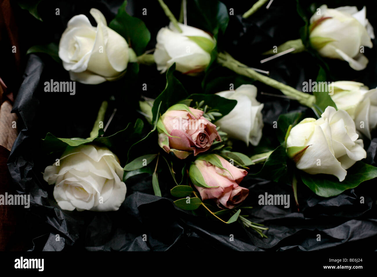 Weiß/rosa Rosen und grünen Blatt Hochzeit Knopflöchern Stockfoto