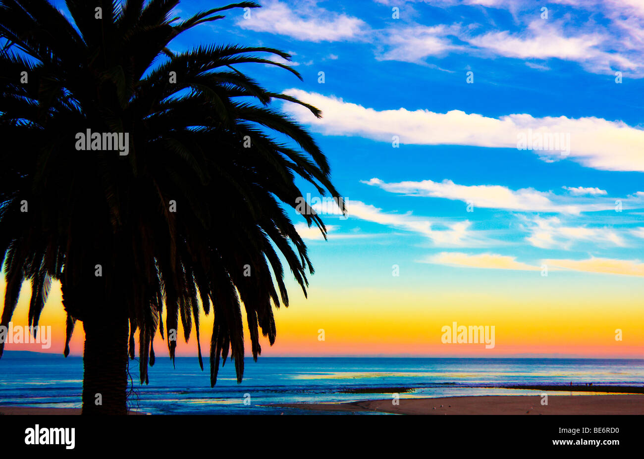 Eine lebendige "sunset" über dem Pazifik mit der Silhouette einer Palme in Malibu, "California". Stockfoto