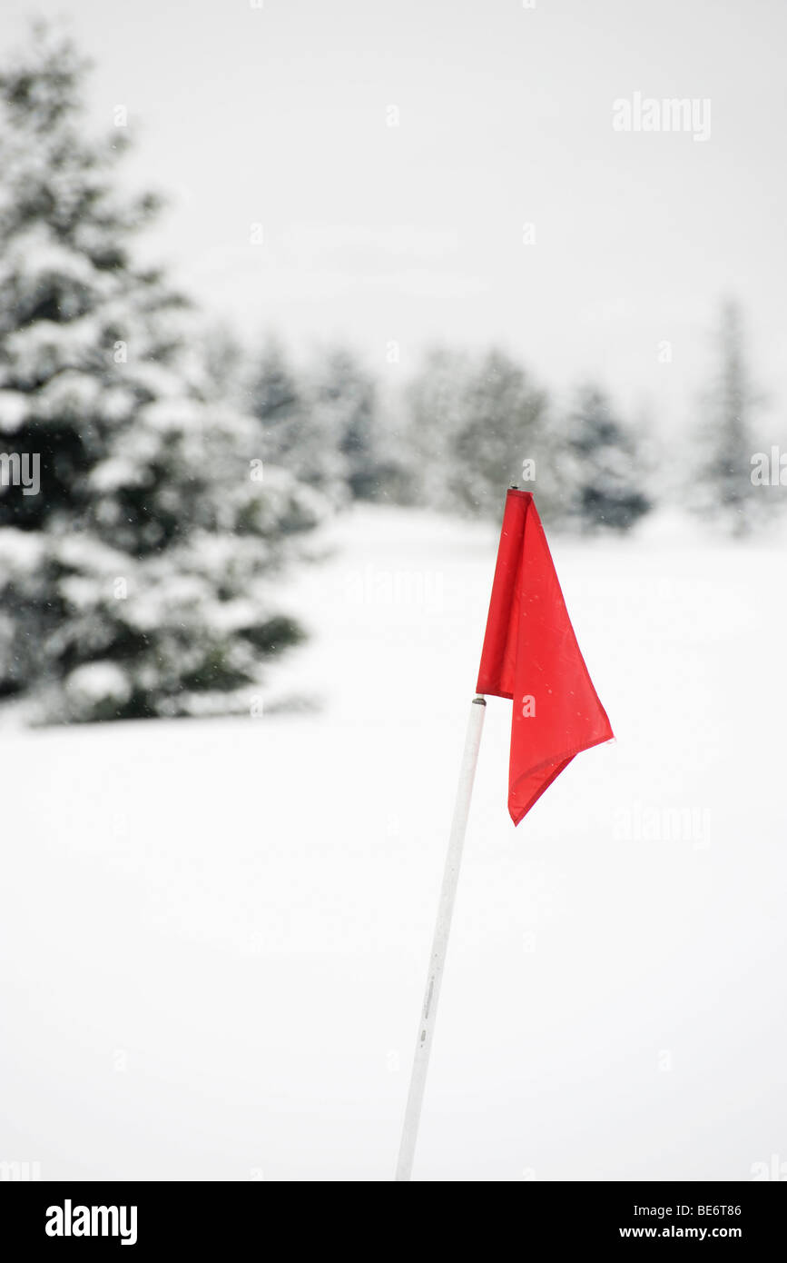 Rote Fahne auf tief verschneiten Golfplatz Stockfoto