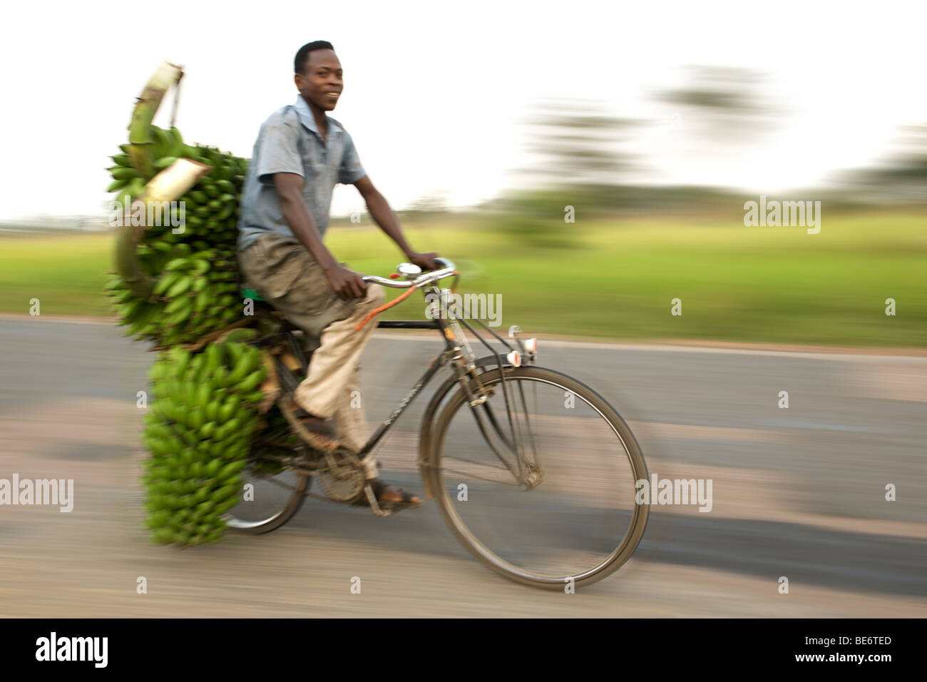 Man den Transport von Bananen auf dem Fahrrad Uganda. Stockfoto