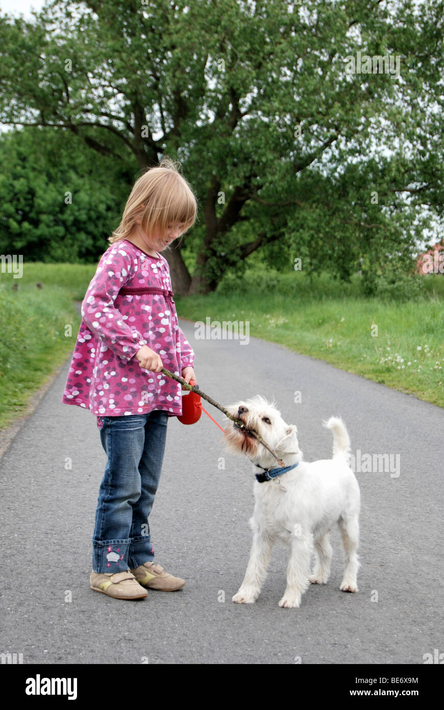 Mädchen, 5, Fetch-Stick zu spielen mit einem Zwergschnauzer Stockfoto