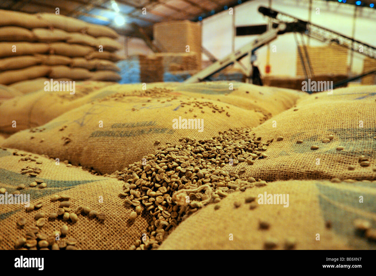 Taschen von ungerösteten Kaffeebohnen, Uberlandia, Minas Gerais, Brasilien, Südamerika Stockfoto