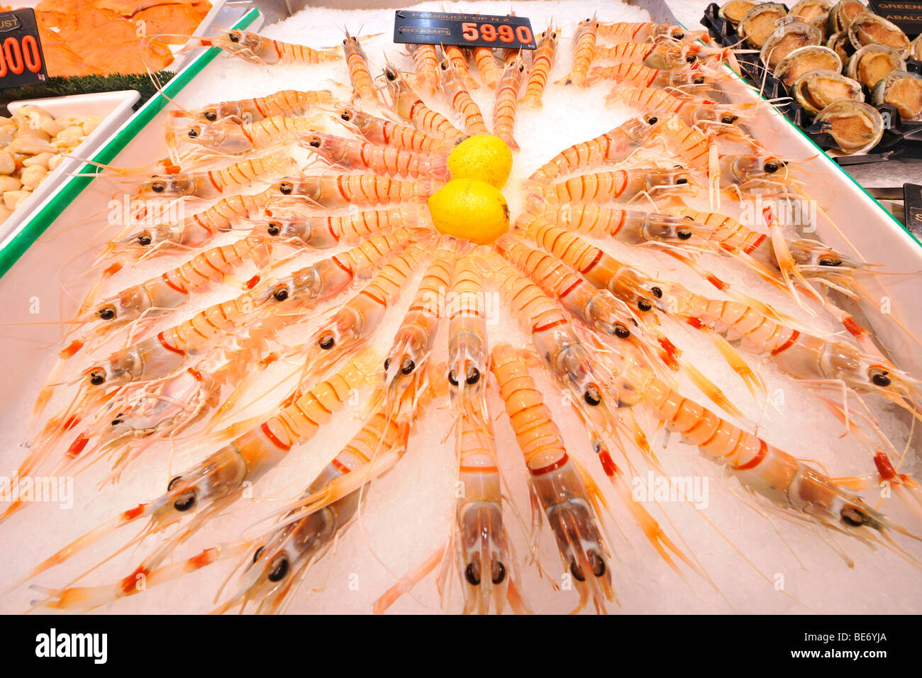 Frische australische Scampi, Sydney Fish Market, Sydney, New South Wales, Australien Stockfoto