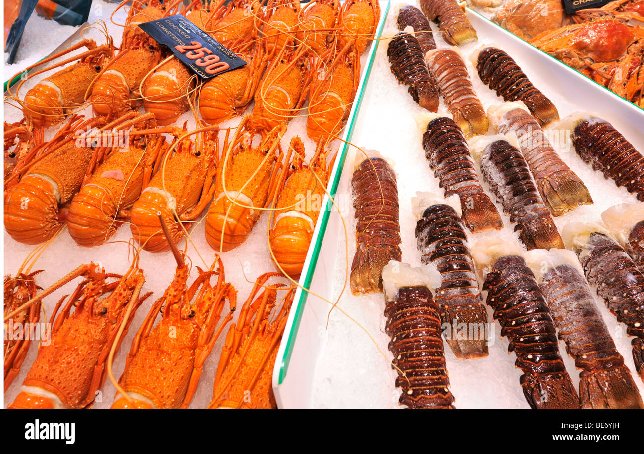 Australische gekocht und frischen Hummer, Sydney Fish Market, Sydney, New South Wales, Australien Stockfoto