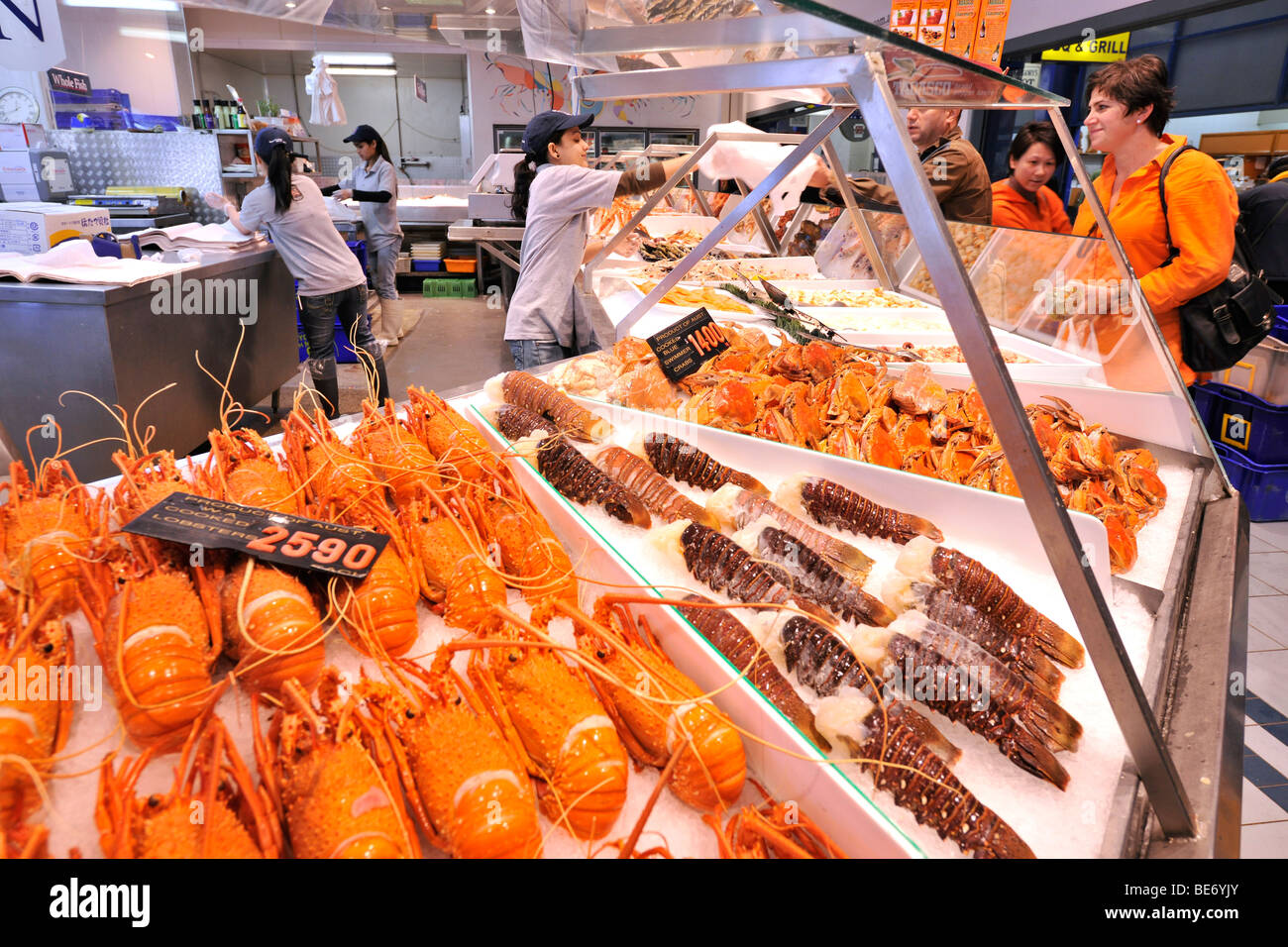 Australische gekocht und frischen Hummer, Sydney Fish Market, Sydney, New South Wales, Australien Stockfoto