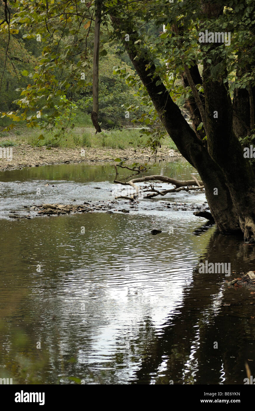 Blick auf niedrigere Otter Creek in Kentucky Bluegrass Bereich in der Nähe der Endstation des Pioniers Vildmarksvägen Stockfoto