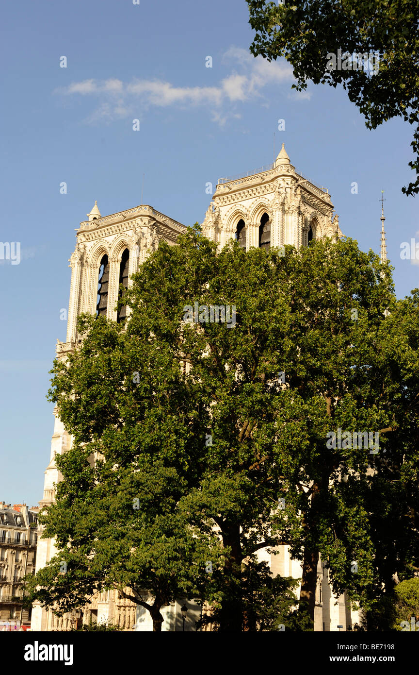 Kathedrale Notre Dame de Paris auf der Ile De La Cité Insel, Paris, Frankreich Stockfoto