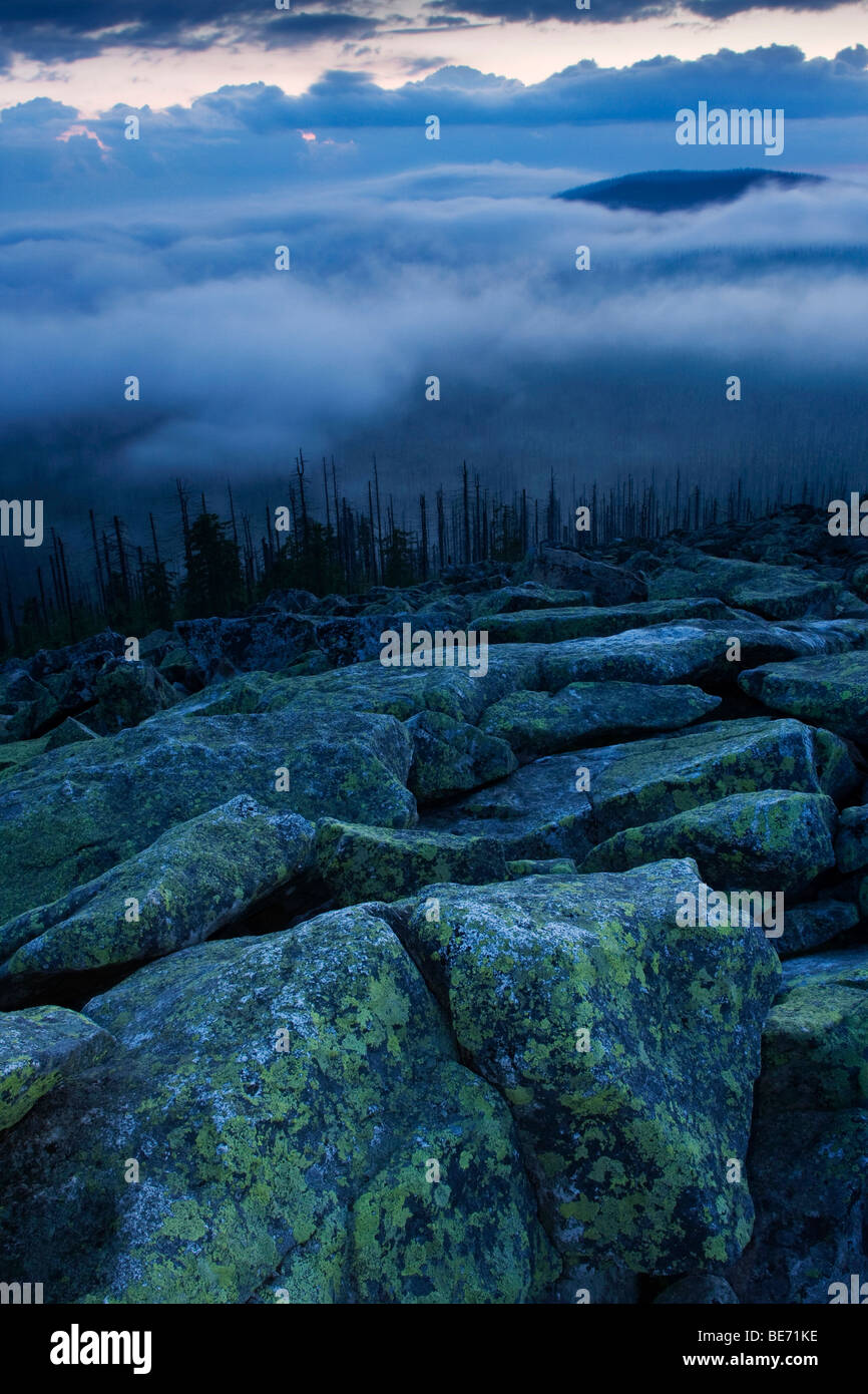 Trübe Stimmung auf den Gipfel des Lusen Berge, Nationalpark Bayerischer Wald, Bayern, Deutschland, Europa Stockfoto