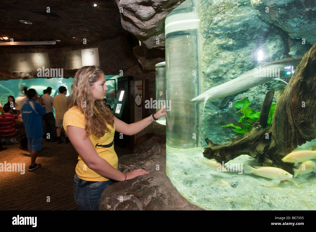 Junge Leute beobachten Fische in einem Aquarium, Sentosa Amusement Park, Singapur, Südostasien Stockfoto