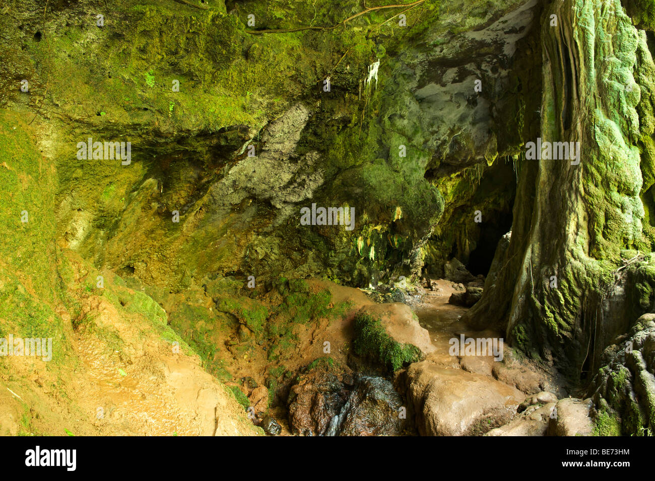 Die Ganyinamwiru-Höhlen gefunden westlich von Fort Portal in Uganda. Stockfoto