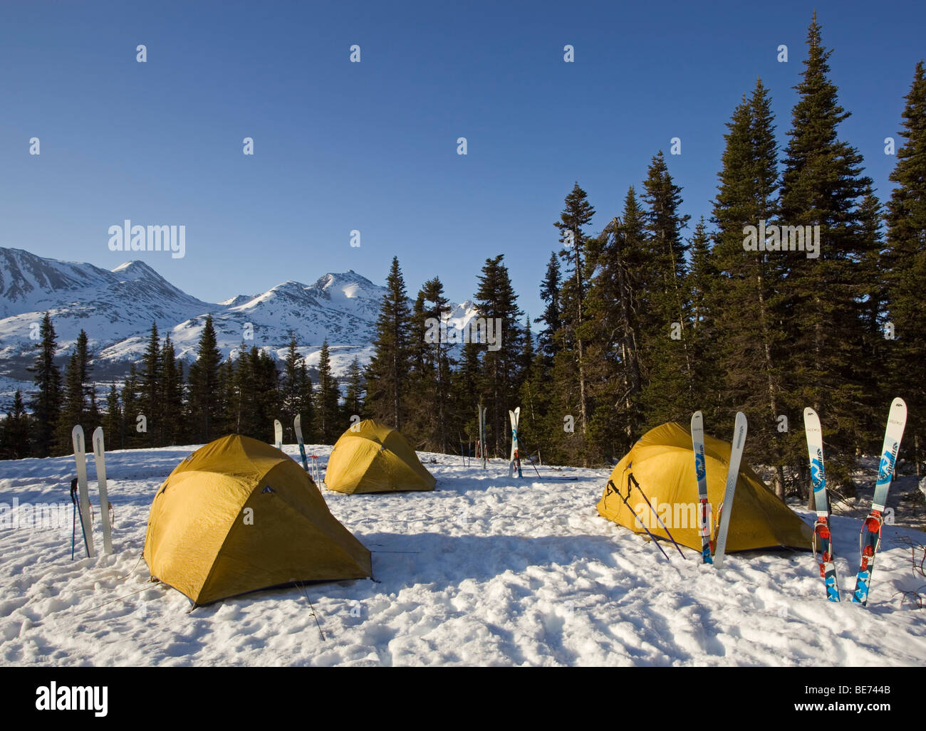 Gruppe von Zelten und Skier, Winterlager, White Pass hinter Chilkoot Pass, Chilkoot Trail, British Columbia, b.c., Kanada Stockfoto